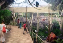 Jara Drapała & Partners w przetargu na Orientarium w łódzkim ZOO