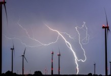 Po zmianie barw energetyczna czwórka ze sternikiem w Domański Zakrzewski Palinka