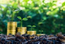 Gessel w emisji słonecznych zielonych obligacji kupionych przez ekobank