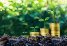 Deloitte Legal doradcą New Energy Investments przy emisji zielonych obligacji
