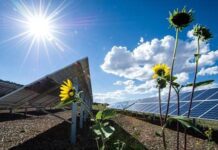 CMS doradcą przy zakupie Sun Power Energy