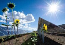 DWF doradcą przy sprzedaży Sun Power Energy