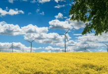 CMS doradzała przy sprzedaży farm wiatrowych firmie PGE Energia Odnawialna