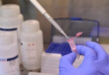 Deloitte Legal w przeprowadzce biotechnologicznej spółki z małej na dużą giełdę