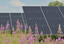 DWF doradcą Onde przy nabyciu projektów elektrowni fotowoltaicznych