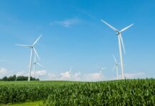 Dwie kancelarie w zakupie przez krajowy koncern energetyczny projektu ogromnej wiatrakowni