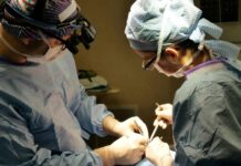 Domański Zakrzewski Palinka we włoskiej inwestycji kardiologicznej krajowego VC-funduszu