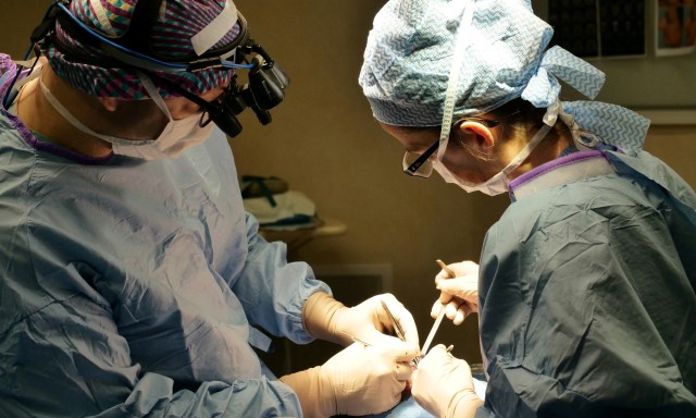 Domański Zakrzewski Palinka we włoskiej inwestycji kardiologicznej krajowego VC-funduszu