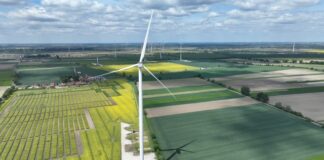 Bird & Bird w miliardowym wiatracznym eurokredycie dla krajowego kolosa prądowego